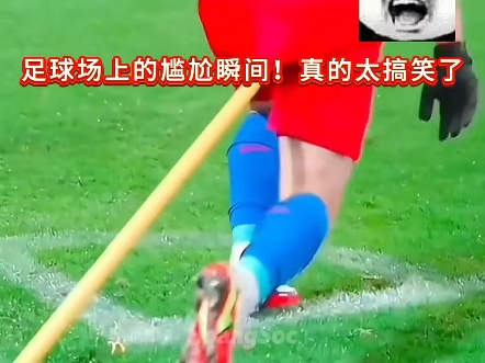 场边花絮：明星球员的日常趣味瞬间的简单介绍