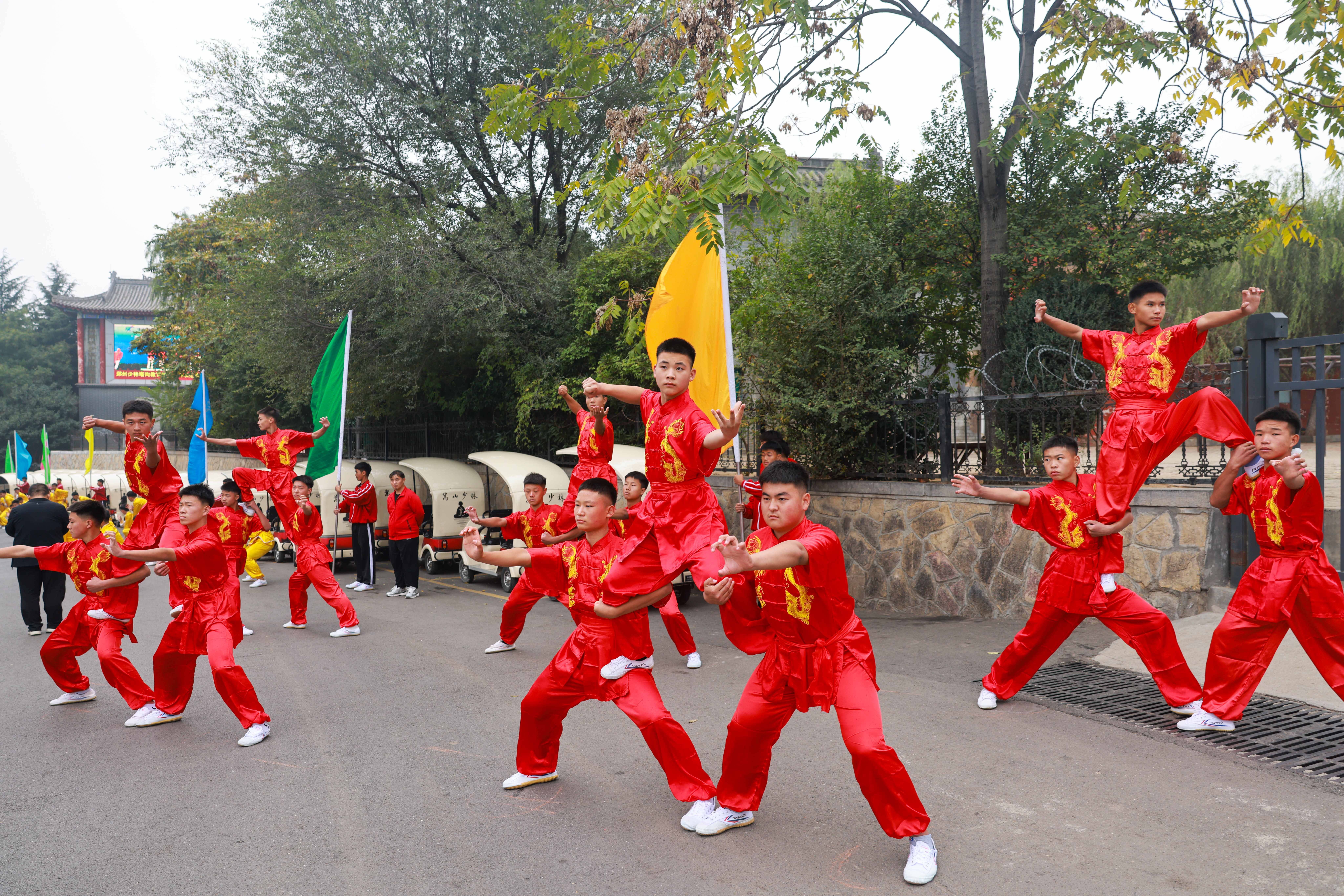 传统武术表演，传承中华文化的魅力