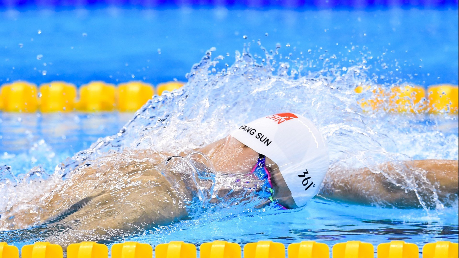 巴西马术协会与非洲马术协会开展技术援助项目，提升当地水平。